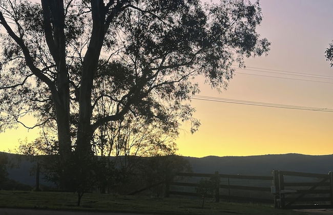 Blueberry Hills on Comleroy - Photo 49