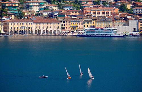 Prato Verde - Girasole - Foto 12