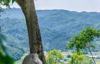 Villa Sussini - Photo 35