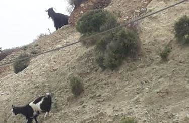LEMON TREE GARDEN near Mirtos beach - Foto 36