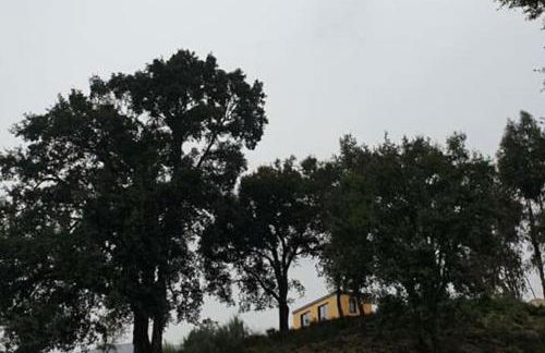 Refúgio do Sobreiro - Foto 11