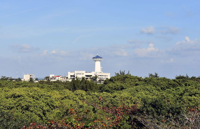 Bahari Cancun - Adults Only - Photo 37