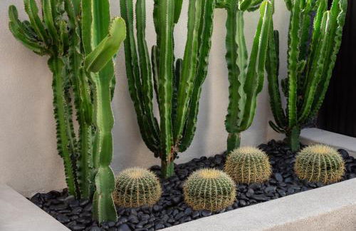 Alaso Design Suites - Foto 67