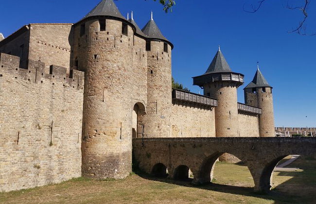 Tour per piccoli gruppi della Cité de Carcassonne - Foto 8