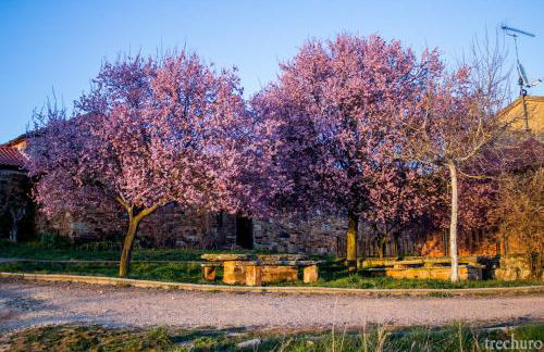 Casa Somoza - Photo 8