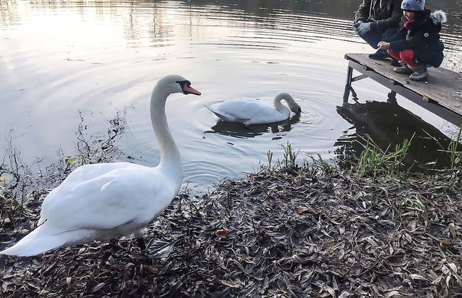 Sazava River Cottage With Boating Experience - Foto 34