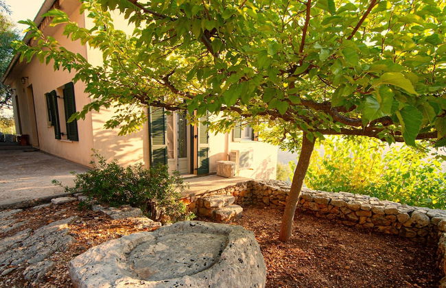 Villa Kounouvato Ithaca - Photo 36