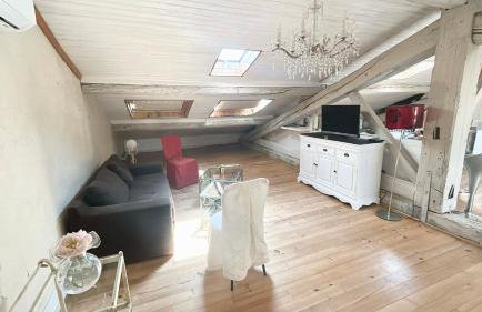 Les Bellevue Cité "4 Apartments, 1 with Garden & Private Parking, Aircon, WiFi, Free Public Car Park, 1 km from Cité" - Foto 71