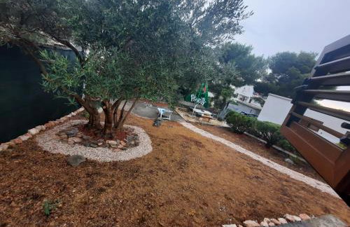 HOUSE Kod dide - Foto 71