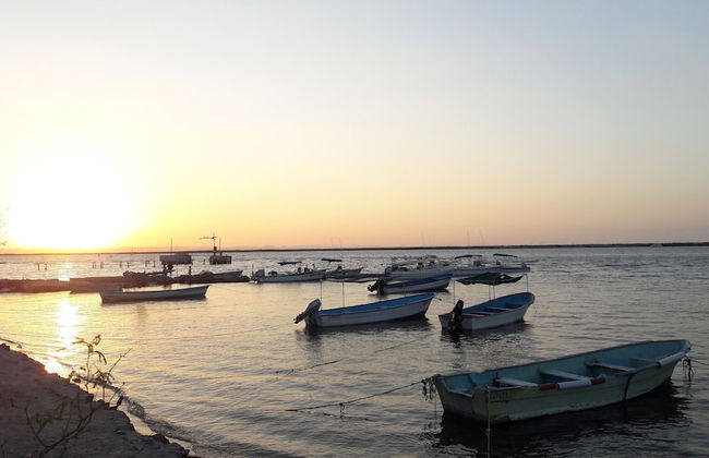 Nice Apartment Equipped With 2 Bedrooms Very Close to the Malecon and the Beach - Foto 38