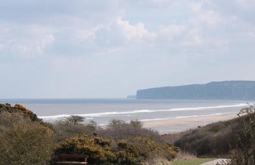 47 The Drake Forgetmeknot - Foto 29