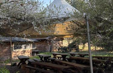 Agroturystyka Traperska Osada - Foto 65