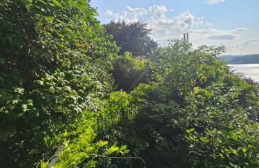 Botanic Garden Lake Como - Foto 45