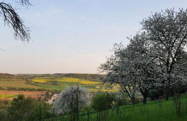 Ahrtal Vier Sterne Ferienwohnungen Alexandra Weiler Ferienwohnung Harmonie - Foto 21