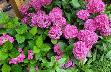 Ferienwohnung bei Helga - Foto 16