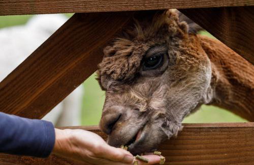 The Roundhouse - Foto 22