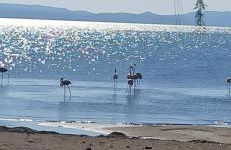 Angel's Houses - Foto 1