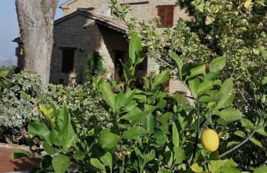 Casale San Martino Agriturismo Bio - Foto 29