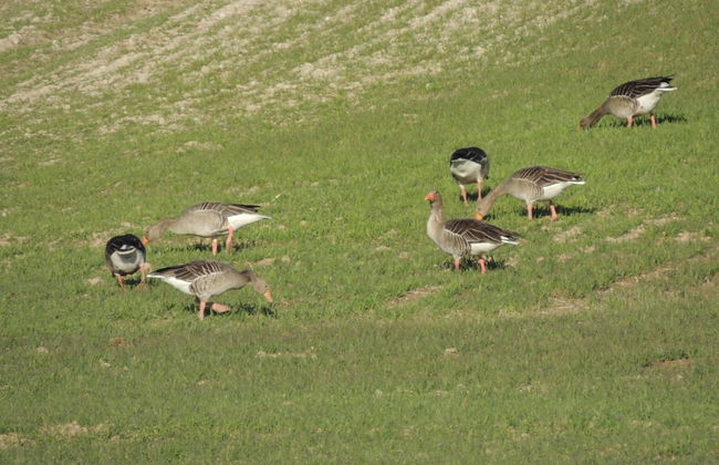Mirador Ardea Mendixur - Foto 36