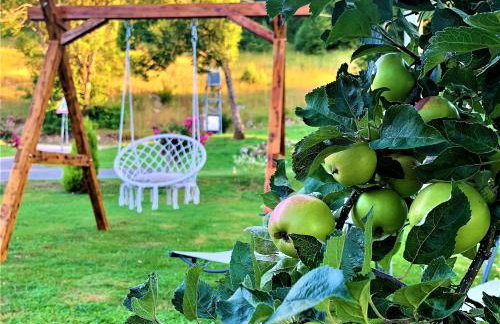 Guesthouse Diva Grabovčeva - Foto 27