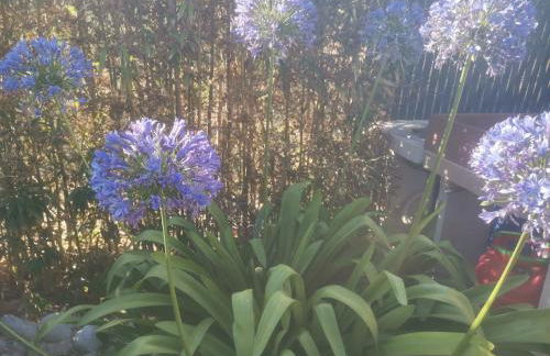 Studio Camille - Foto 2