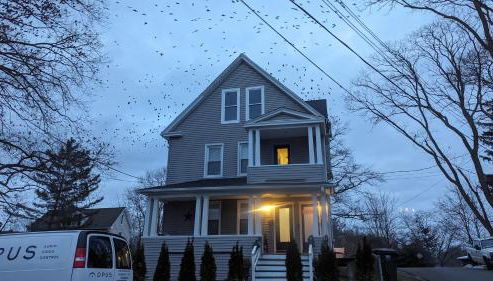 Sunny & Spacious 2BD 1BA WFH Apt-Huge Yard & Patio - Foto 3