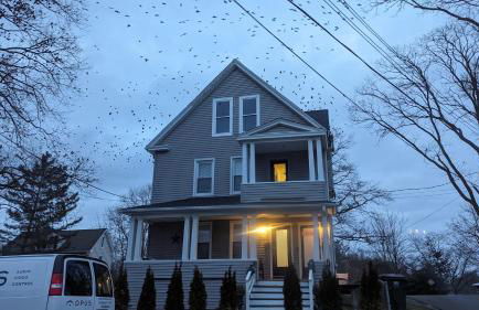 Sunny & Spacious 2BD 1BA WFH Apt-Huge Yard & Patio - Foto 3