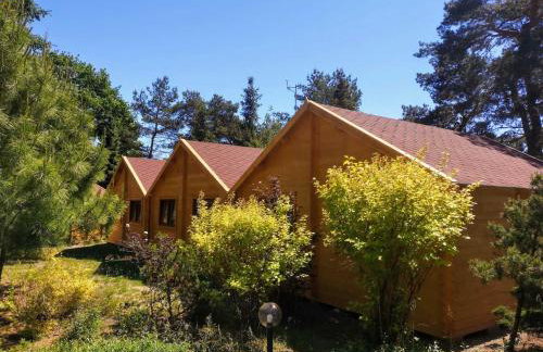 EKO DOMKI w Ośrodku Edukacji Ekologicznej w Krynicy Morskiej-Piaski - Foto 11