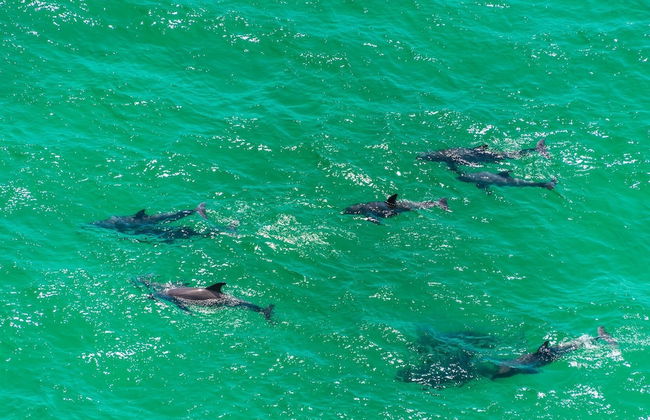 Sterling Sands 707 - Foto 25