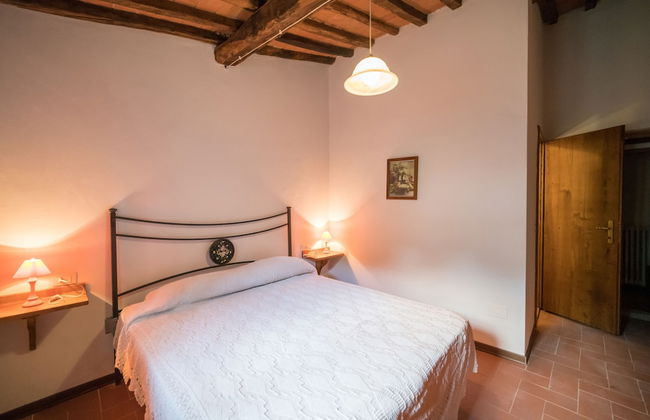 Fattoria di Cintoia - Photo 23