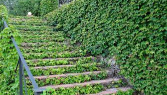 Mas del Molí - Foto 3