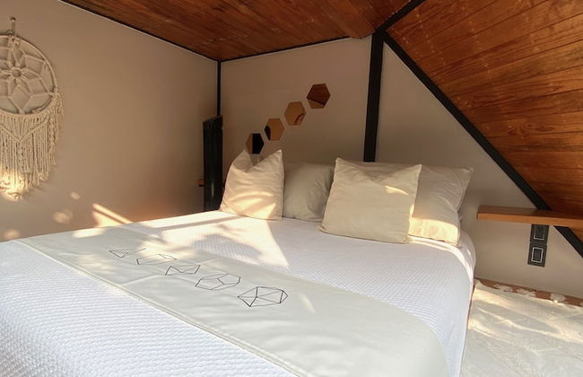 Bosque Geométrico - Foto 16