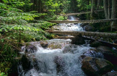 Apartaments La Bonaigua - Foto 37