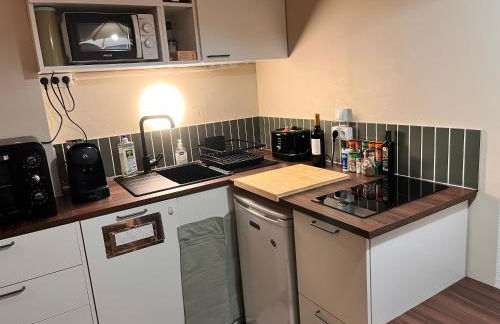 Le Cocon des Cîmes Auris - Foto 6