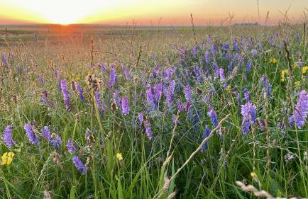 Gästehaus Neuwarft - Foto 9