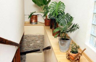 Holiday house with a swimming pool Kozljak, Central Istria - Sredisnja Istra - 7409 - Foto 28