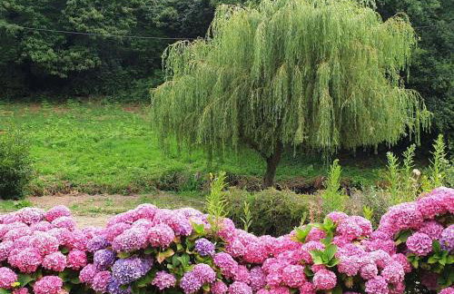 Maison rénovée pierre, jardin, WIFI, 400m mer, St Quay-Perros - FR-1-368-258 - Foto 16