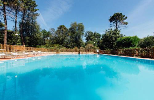 Residence Renaione - Foto 27