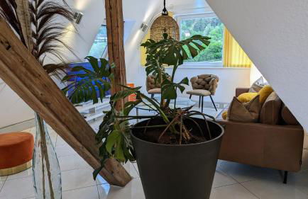 WOLKENFREI - ankommen und Zuhause fühlen - Apart-VL - Foto 43