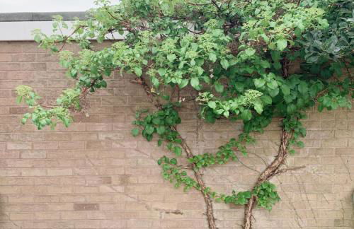 Happy Day 温馨小居-Walk to Warwick Uni & Cannon Park in Coventry that offers free parking - Foto 49