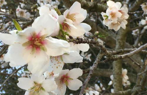 Agriturismo Monti di Jogliu - Foto 87