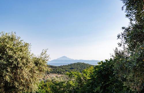 Helia All Seasons Apartments - Foto 27