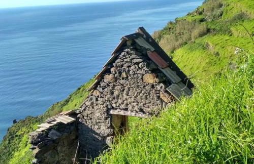 Lazy Lizard Studio - Foto 42