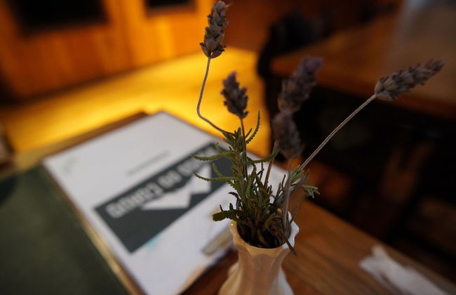 Pouso do Corvo - Grão-Pará - SC - Photo 60