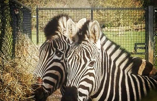 Cozy Cotswold getaway near Burford - Foto 26