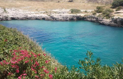 Masseria Vignenove - Foto 44