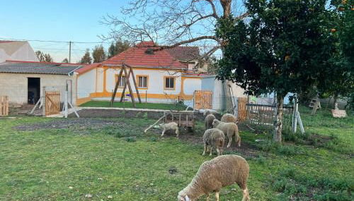 Quinta da nogueira - Foto 2