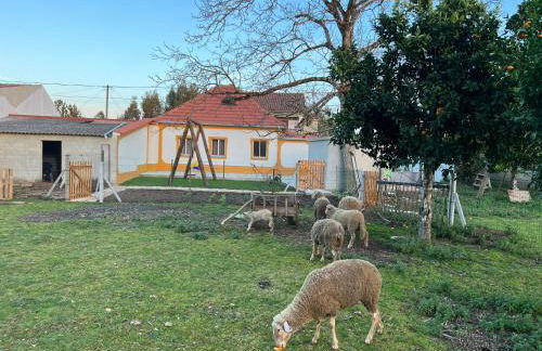 Quinta da nogueira - Foto 2