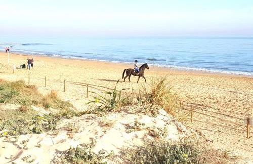 Apartamento con piscina en Oliva Nova - Foto 39