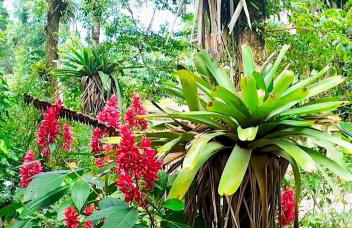 Chalé Bosque das Pedras - Foto 16